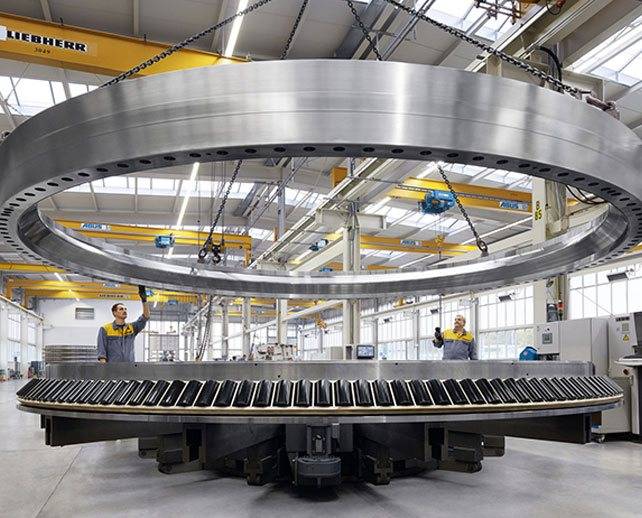 SS Heavy Bearing Rings